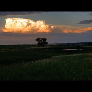 Meet your Posher, Molly